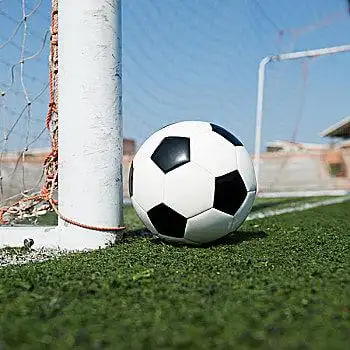 14场胜负彩开奖结果查询平台界面展示